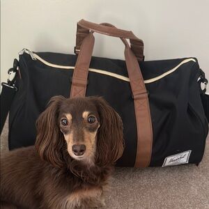 Herschel Supply Company Black Duffel with Brown Straps (dog not included)